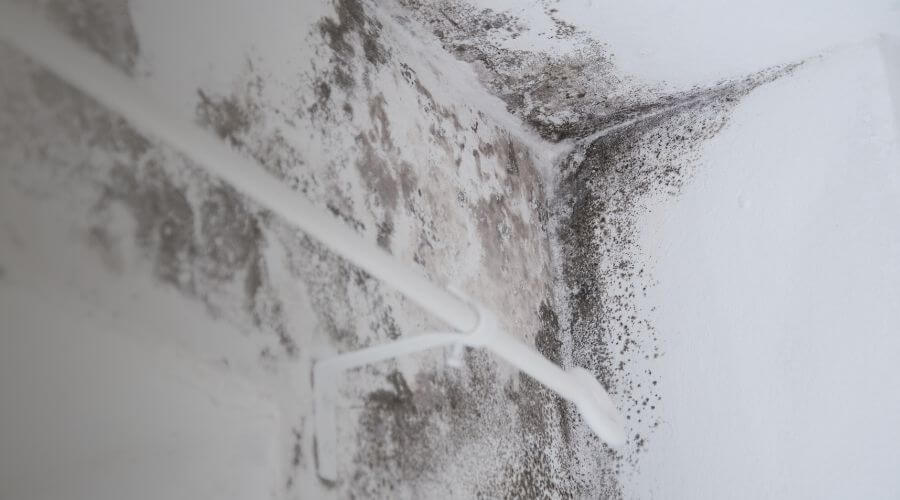 Why choose water damage restoration service for commercial water damage restoration in San Diego